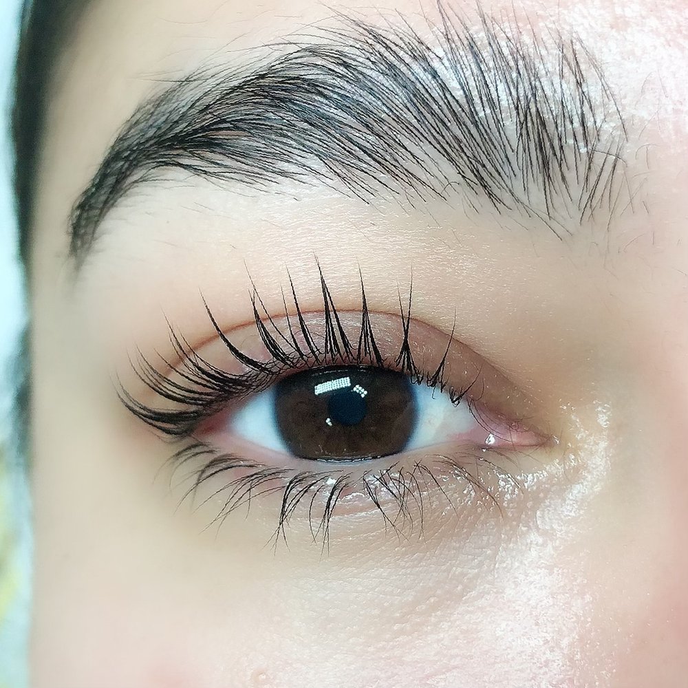 Sakishima Lashes Logo