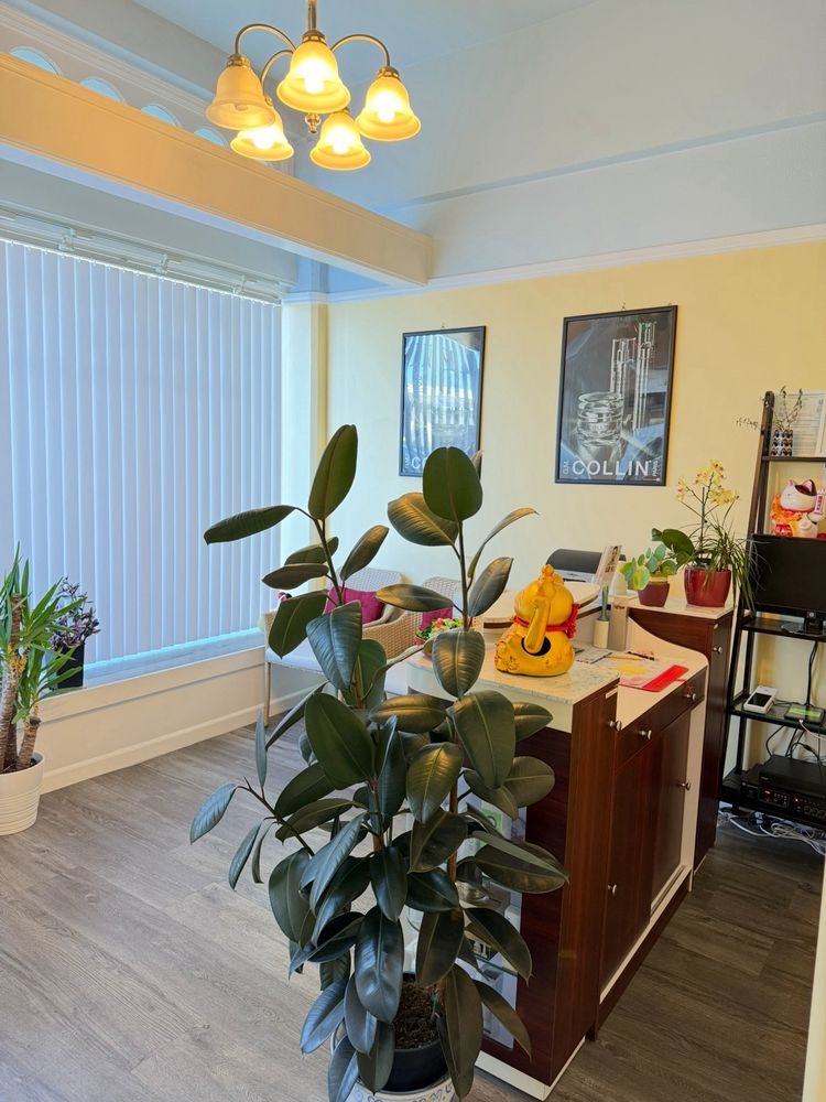 Beauty Expression Logo